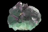 Purple-Green Octahedral Fluorite Crystal Cluster - Fluorescent! #149667-1